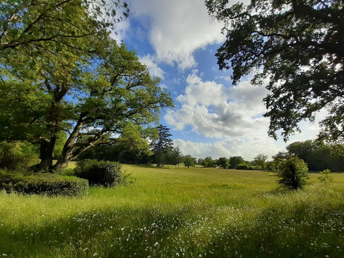 فيلا Domaine Des Roches Blanches Le Pin  المظهر الخارجي الصورة