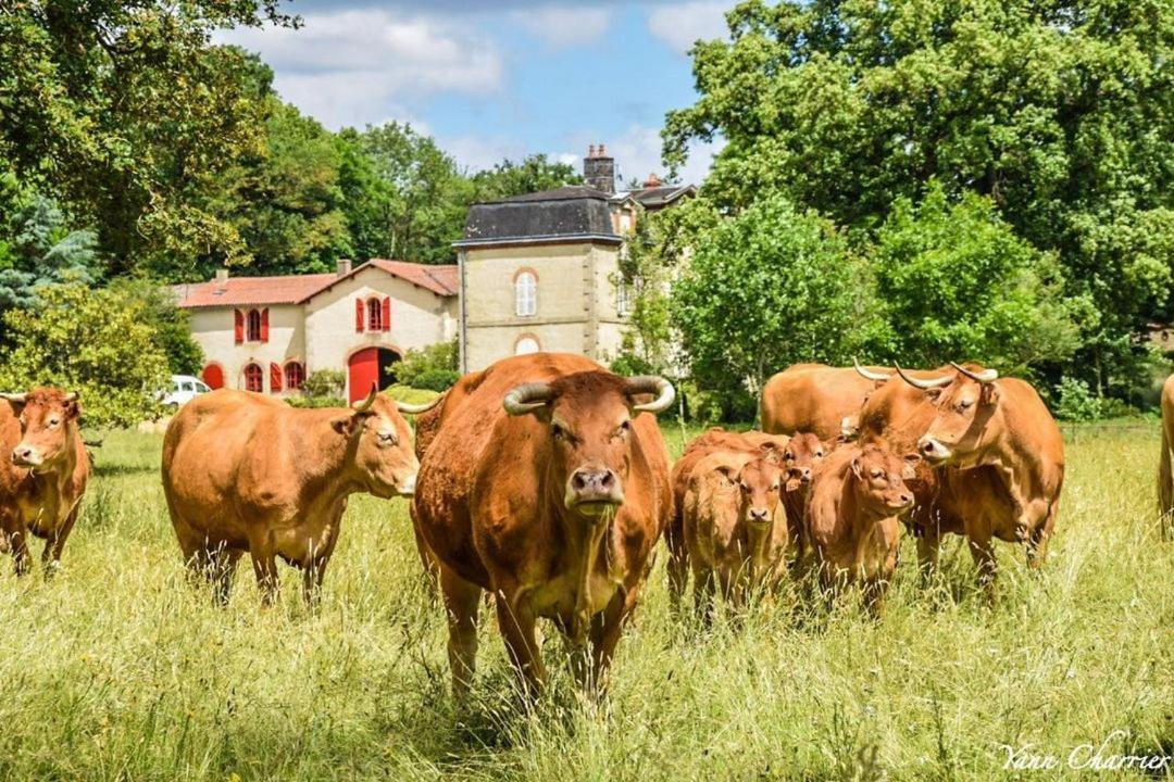 فيلا Domaine Des Roches Blanches Le Pin  المظهر الخارجي الصورة