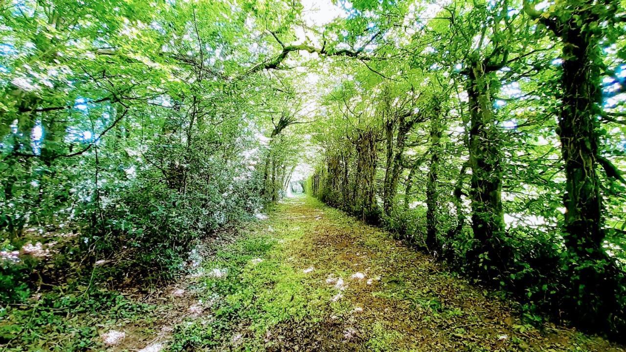 فيلا Domaine Des Roches Blanches Le Pin  المظهر الخارجي الصورة