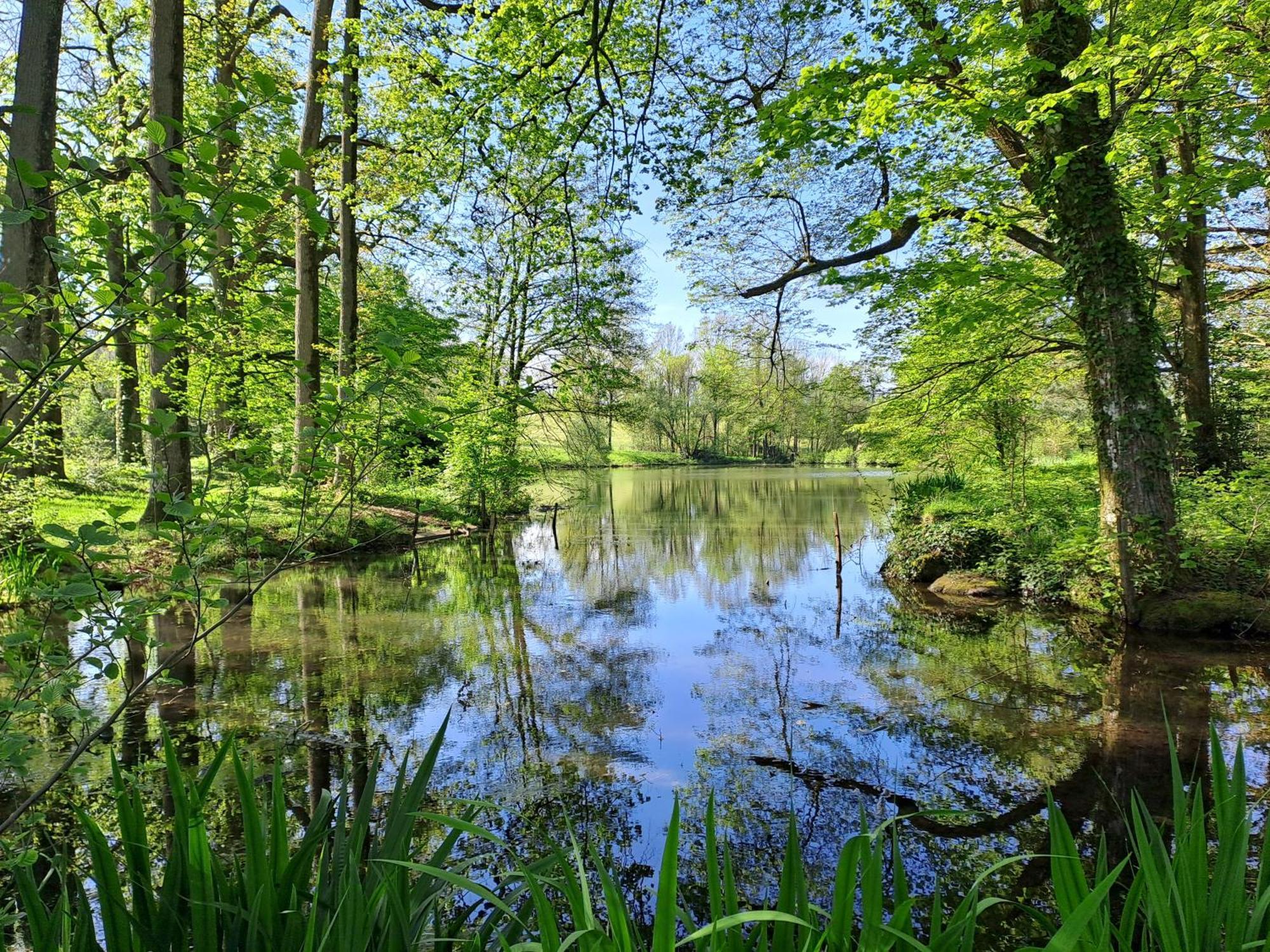 فيلا Domaine Des Roches Blanches Le Pin  المظهر الخارجي الصورة