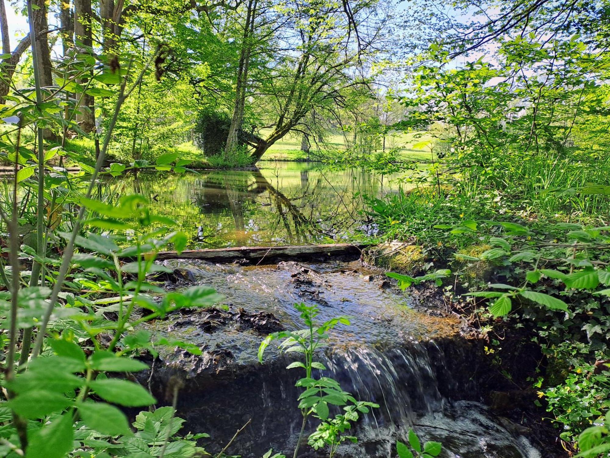 فيلا Domaine Des Roches Blanches Le Pin  المظهر الخارجي الصورة