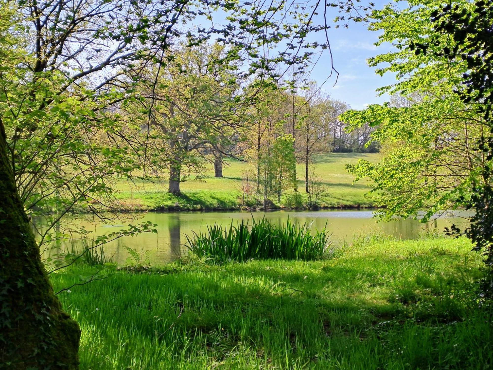 فيلا Domaine Des Roches Blanches Le Pin  المظهر الخارجي الصورة