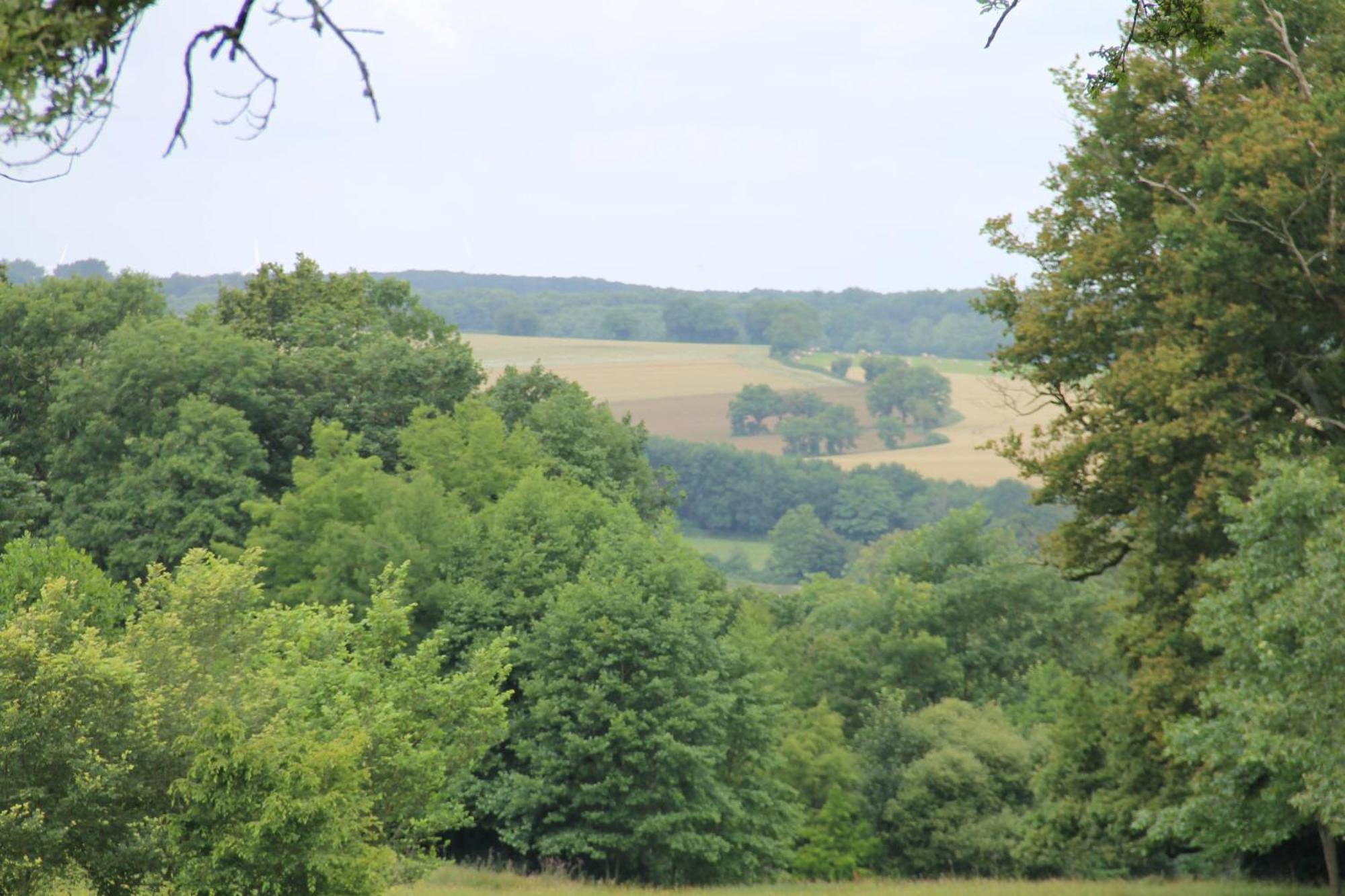 فيلا Domaine Des Roches Blanches Le Pin  المظهر الخارجي الصورة