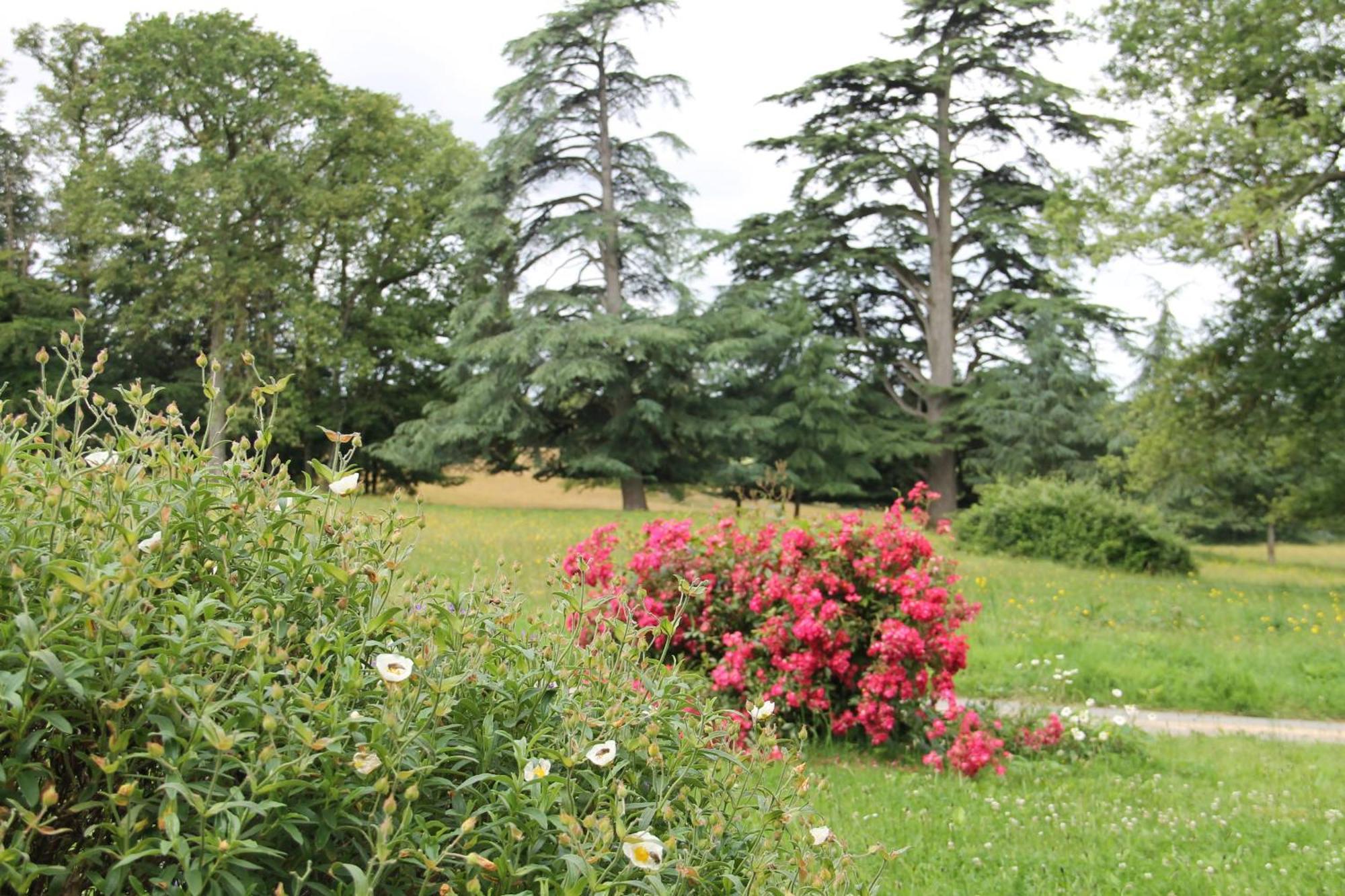 فيلا Domaine Des Roches Blanches Le Pin  المظهر الخارجي الصورة