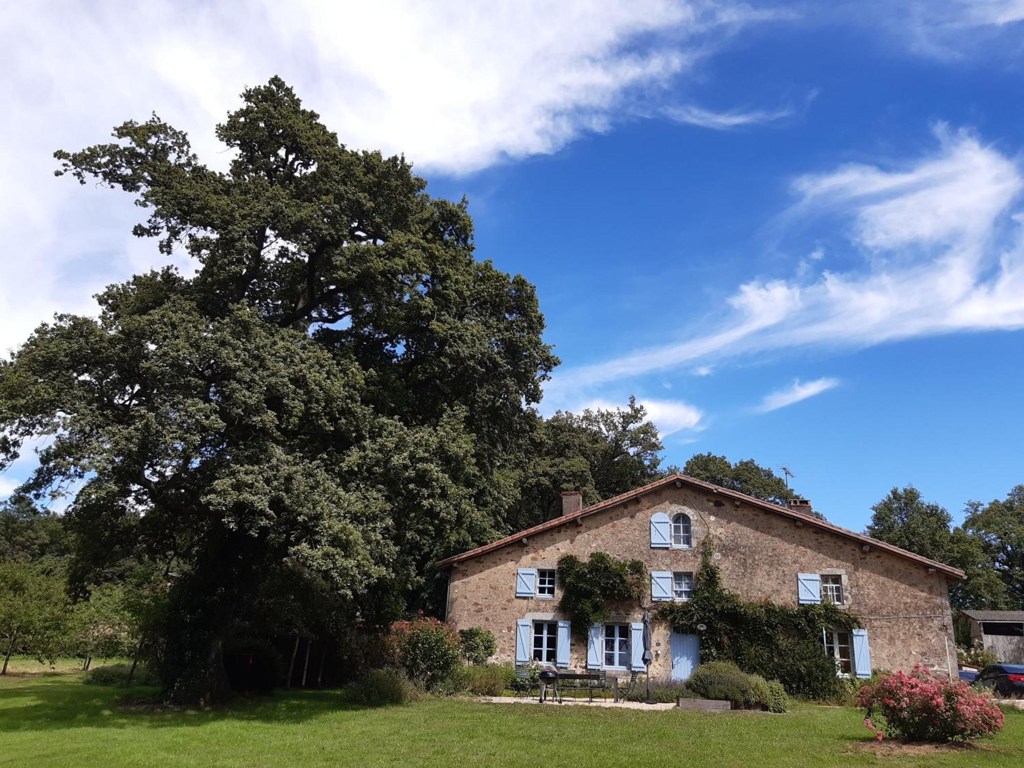 فيلا Domaine Des Roches Blanches Le Pin  المظهر الخارجي الصورة